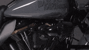 Brand Adventure GIF by Harley-Davidson
