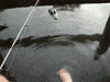 swamp people kick GIF