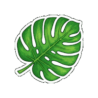 wiasystems leaf wiatrip2026 wialeaf wia2026 Sticker