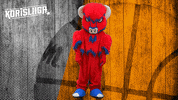 Basketball Mascot GIF by Basket_fi