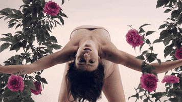 Shatter Circle Of Life GIF by Woodblock