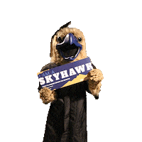 Graduation Colorado Sticker by Fort Lewis College