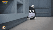 Angry Cat GIF by HangryPetz