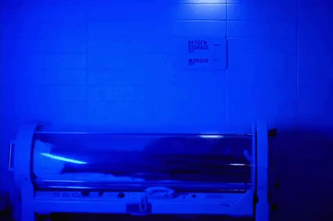season 1 GIF by Twin Peaks on Showtime