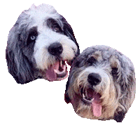 Dog Sticker