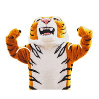 DoaneUniversity doane doane university doane tigers go doane Sticker