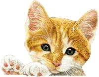 de gatos STICKER