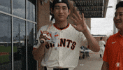 Giants Baseball Hello GIF by San Francisco Giants