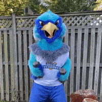 Working Out GIF by Anne Arundel Community College