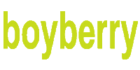 boyberry boyberry boyberry logo Sticker