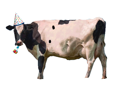 Happy Birthday Cow Sticker by Vincent Winter