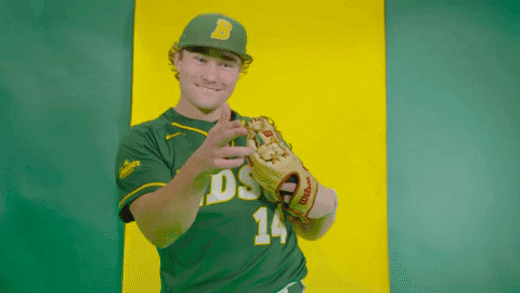 North Dakota State Baseball GIF by NDSU Athletics