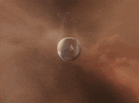 Audreynunajokesonme GIF by AUDREY NUNA