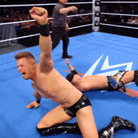 Excited The Miz GIF by WWE