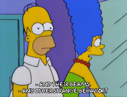 homer simpson GIF
