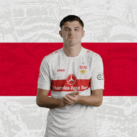 Football Soccer GIF by VfB Stuttgart