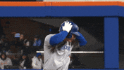 Blue Jays Baseball GIF by Toronto Blue Jays
