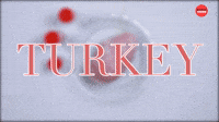 Thanksgiving - Turkey