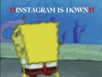 Instagram Facebook GIF