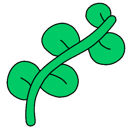 plant leaves fern Sticker