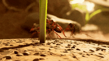 Obsidian Entertainment Run GIF by Xbox