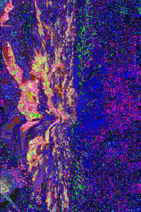 GIF by Leo Pyrata