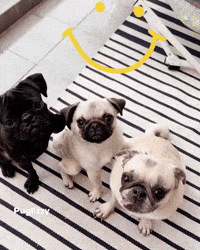 Best Friends Smile GIF