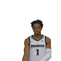 Basketball Ice Sticker by Providence Friars