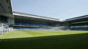 Ibrox Stadium Stadiums GIF by Rangers Football Club