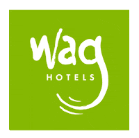 Rainbow Grooming Sticker by Wag Hotels