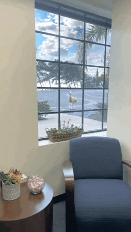 transgreaser sky window deer view GIF