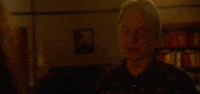 gibbs sloane GIF by CBS