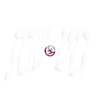 LevVoices gut shabbos lev choir lev voices git shabbos Sticker