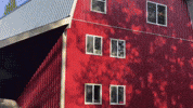 Toyota Camry GIF