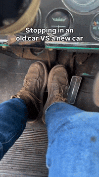 Hold On Stop GIF