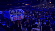 Counter-Strike GIF by dignitas