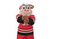 Happy Ice Hockey Sticker by NHL