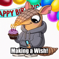 Party Birthday GIF by Chillo Dillo