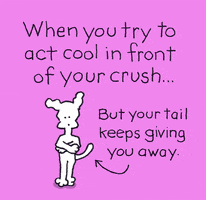 I Love You Crush GIF by Chippy the Dog