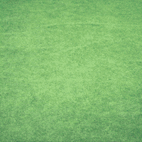 Big Bird GIF by TeaCosyFolk