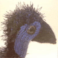 Big Bird GIF by TeaCosyFolk