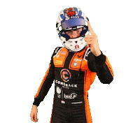 Racing Driver Sticker by Kas Haverkort