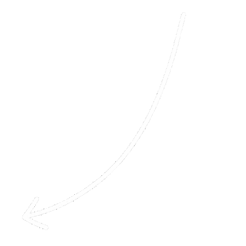 Read This Wow Sticker