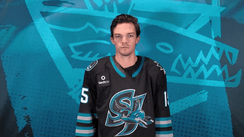 Be Quiet San Jose GIF by San Jose Barracuda