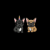 MagicalMochicorn unicorn frenchbulldog frenchies magicalmochicorn GIF
