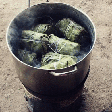 CARPEmolly giphyupload GIF