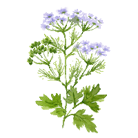 Flower Sticker by compo