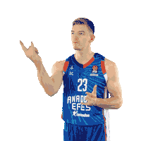 Sport Basketball Sticker by Anadolu Efes SK