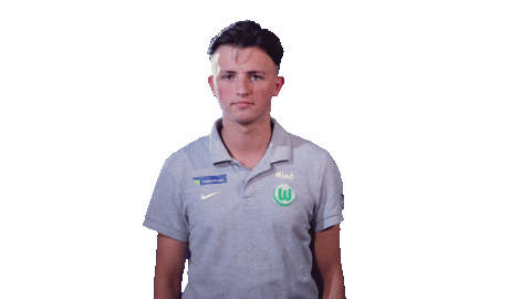 Ps4 Playstation Sticker by VfL Wolfsburg