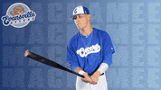 Take Care Love GIF by Evansville Otters